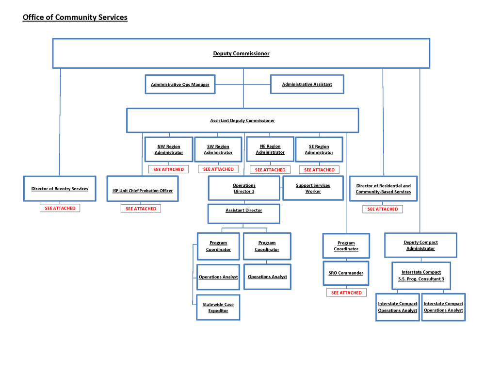 Community Services Org Chart | Department of Juvenile Justice