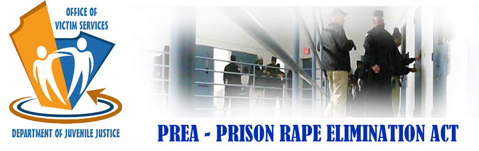 Victim Services: Prison Rape Elimination Act PREA.jpg