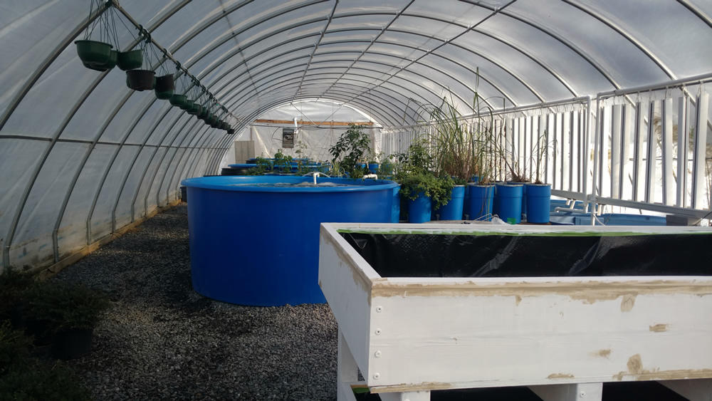 Elbert Shaw RYDC Georgia Shape Grant Award: DJJ and the Aquaponic Garden aquaelbertshawdec18bb.jpg