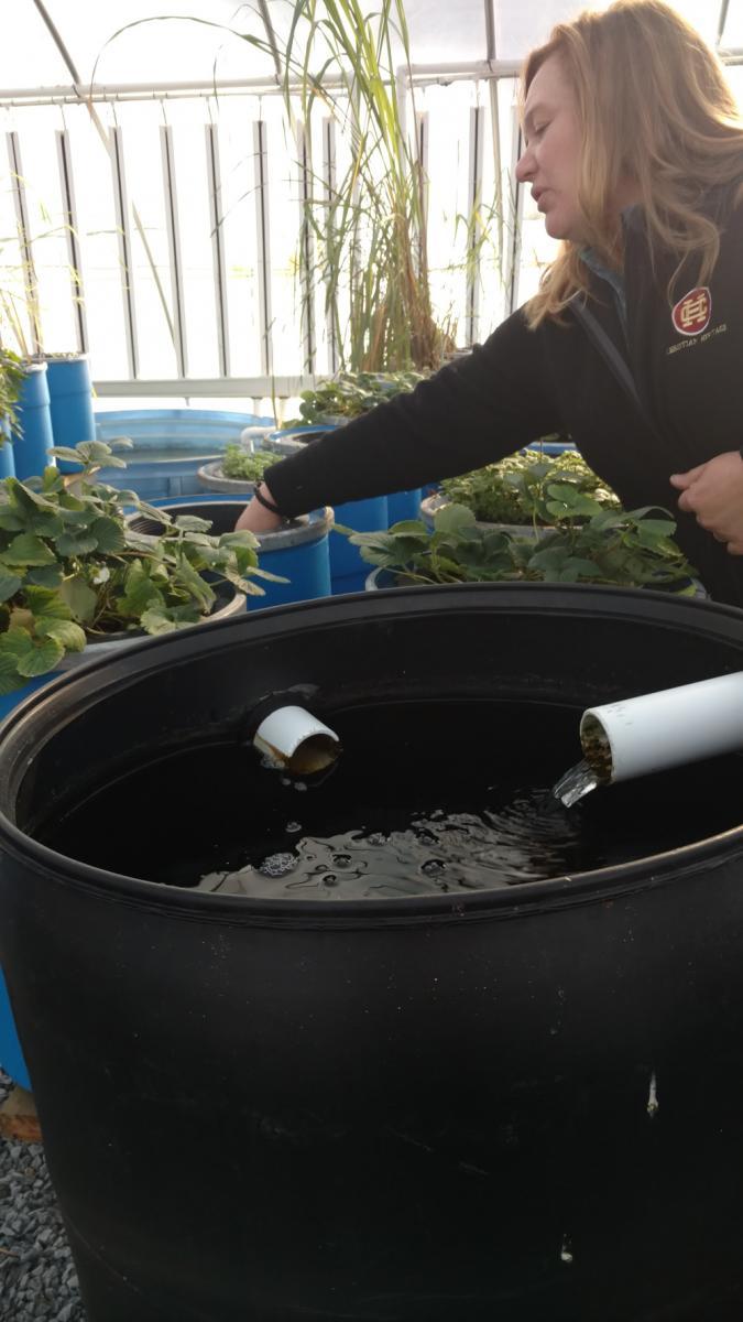 Elbert Shaw RYDC Georgia Shape Grant Award: DJJ and the Aquaponic Garden aquaelbertshawdec18dd.jpg