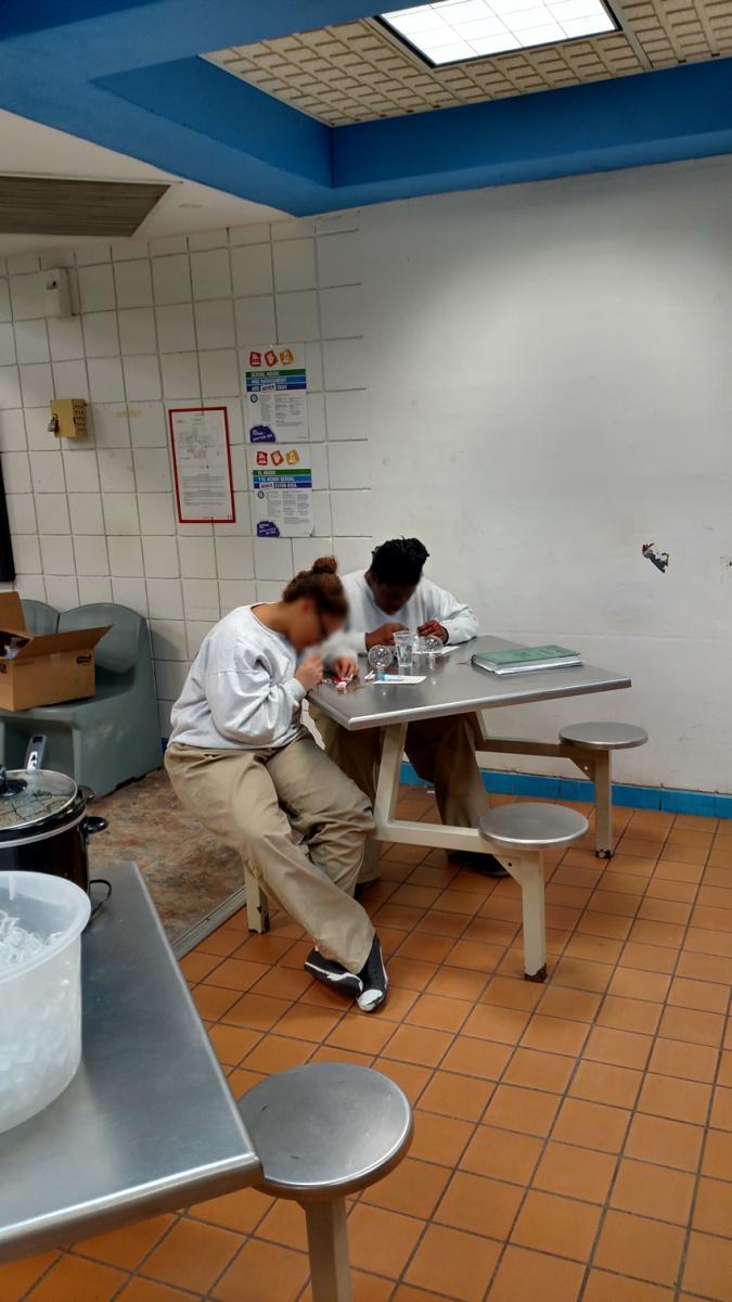 PBIS at DJJ: Claxton RYDC Ornament Extravaganza djjblueornament17asmaller4c.jpg