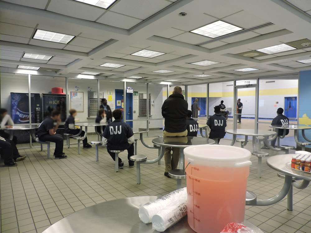 Office of Nutrition and Food Services: Wellness Events at DJJ mariettarydcwellness17kk.jpg