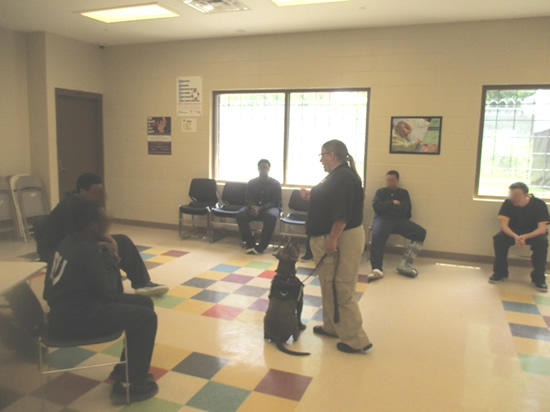 PBIS and Rescue 2 Restore: The Rockdale RYDC is ROCK SOLID rockdalesolid2016b.jpg