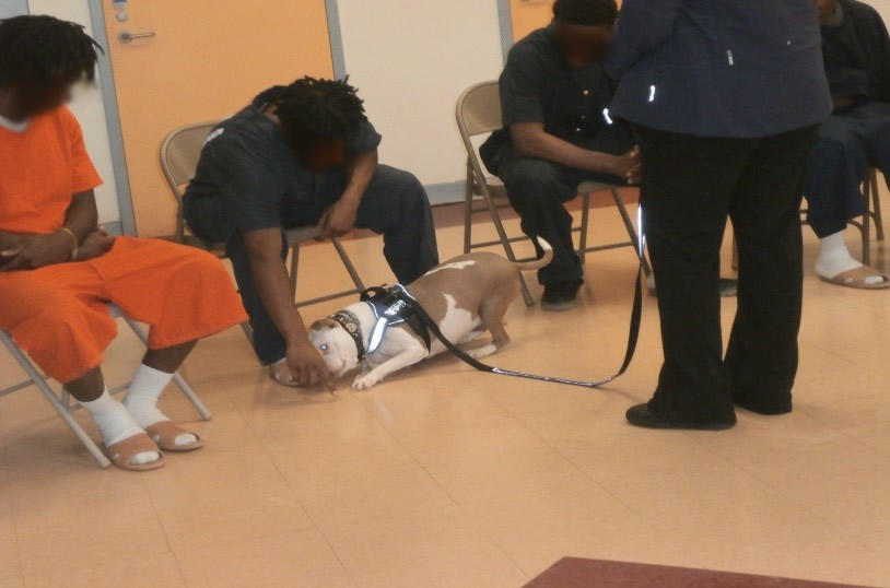 Winter Events at DJJ: Sumter YDC sumterwinter18p.jpg