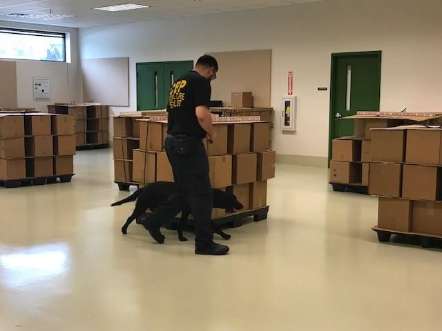 Rescue 2 Restore at the USDA National Detector Dog Training Center usdadogs19e.jpg